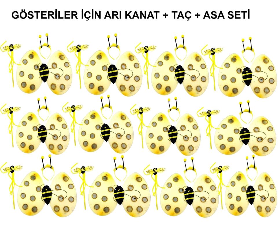 Okul Gösterileri için 12'li Arı Kanadı Seti - Etkinlik Kanatları