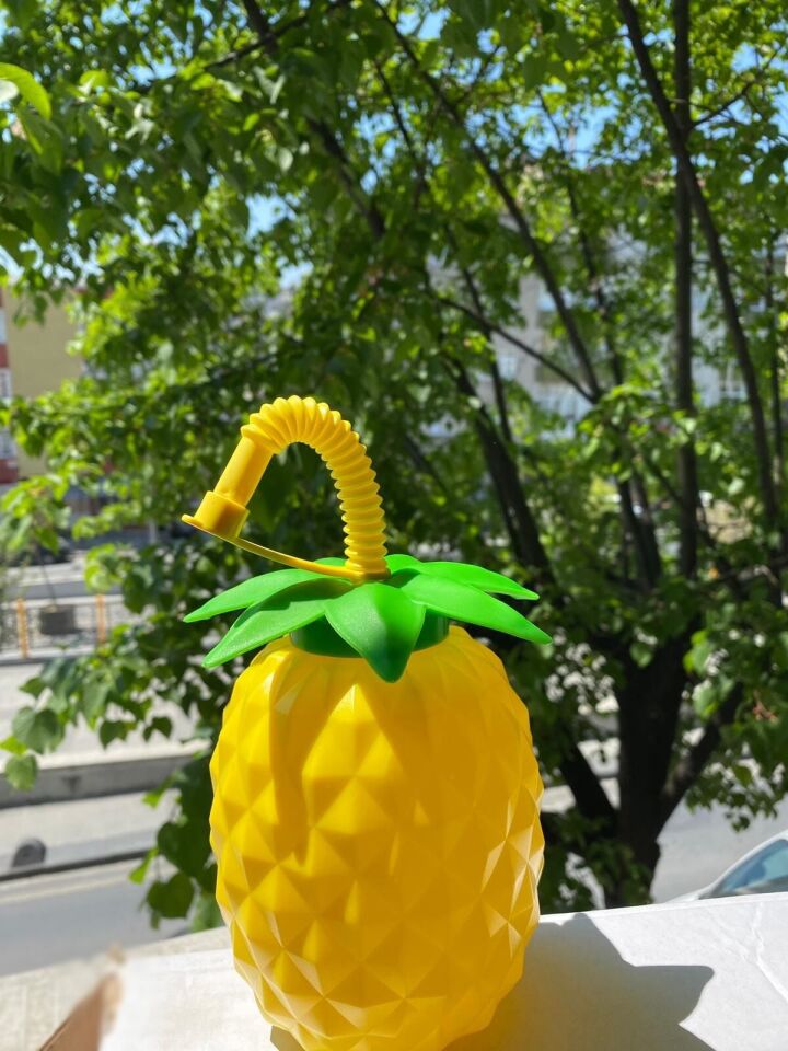 Ananas Pipetli Suluk